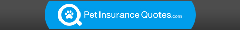Get FREE Pet Insurance Quotes Now!